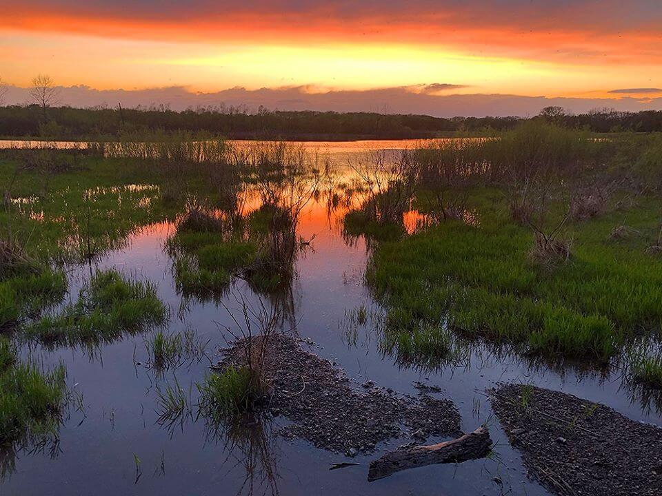 Missouri Issues Five Elk Permits for Fall of 2020 Missouri Issues Five Elk Permits for Fall of 2020