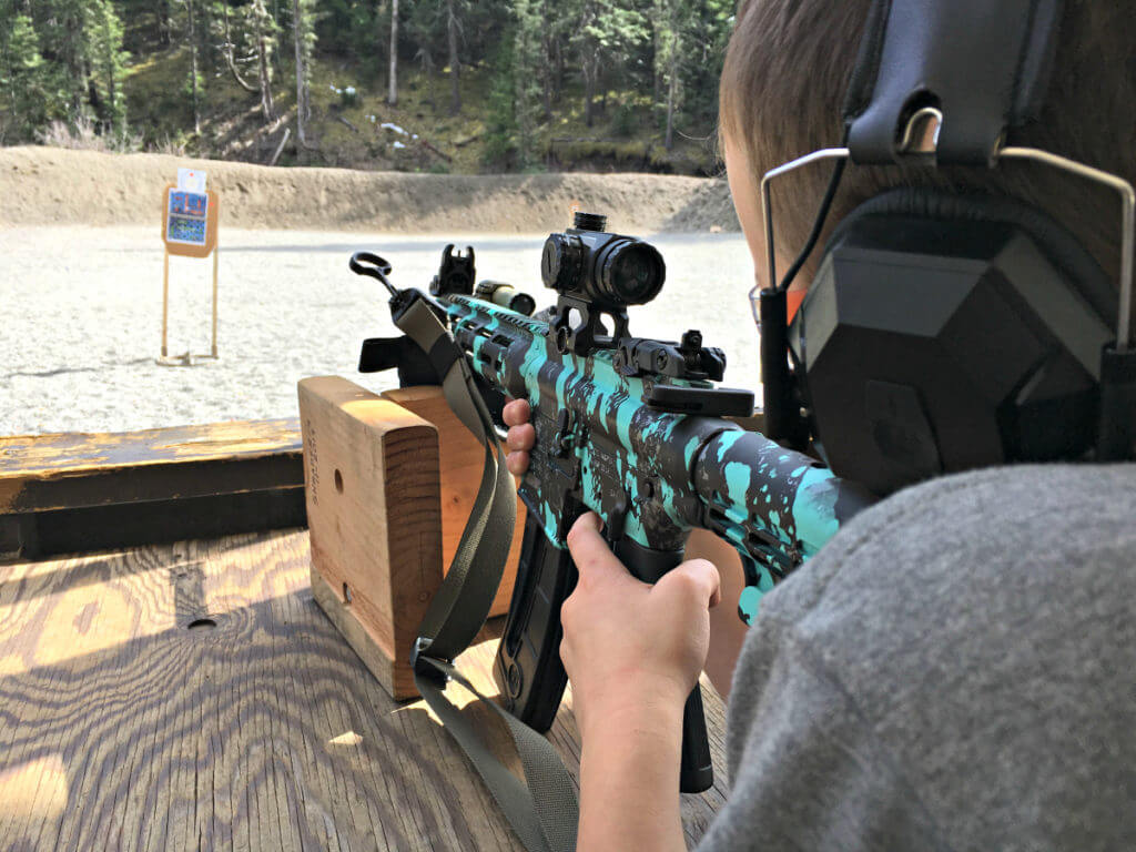 Mini A-DAP Target System by TA Targets Mini A-DAP Target System by TA Targets