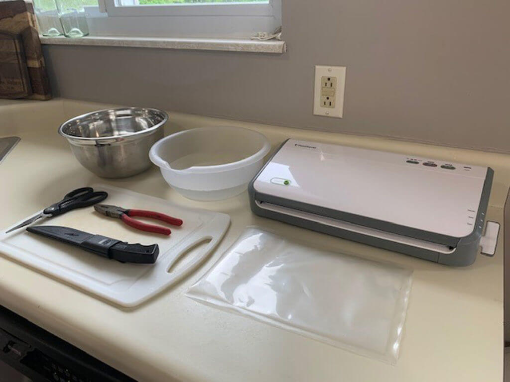 Frog Cleaning Frog Cleaning