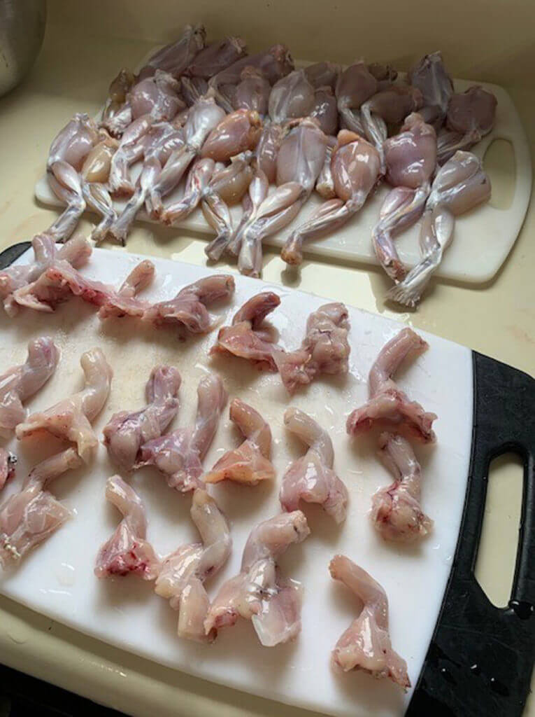 Frog Cleaning Frog Cleaning