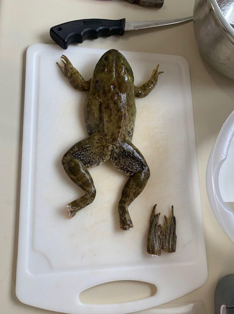 Frog Cleaning Frog Cleaning