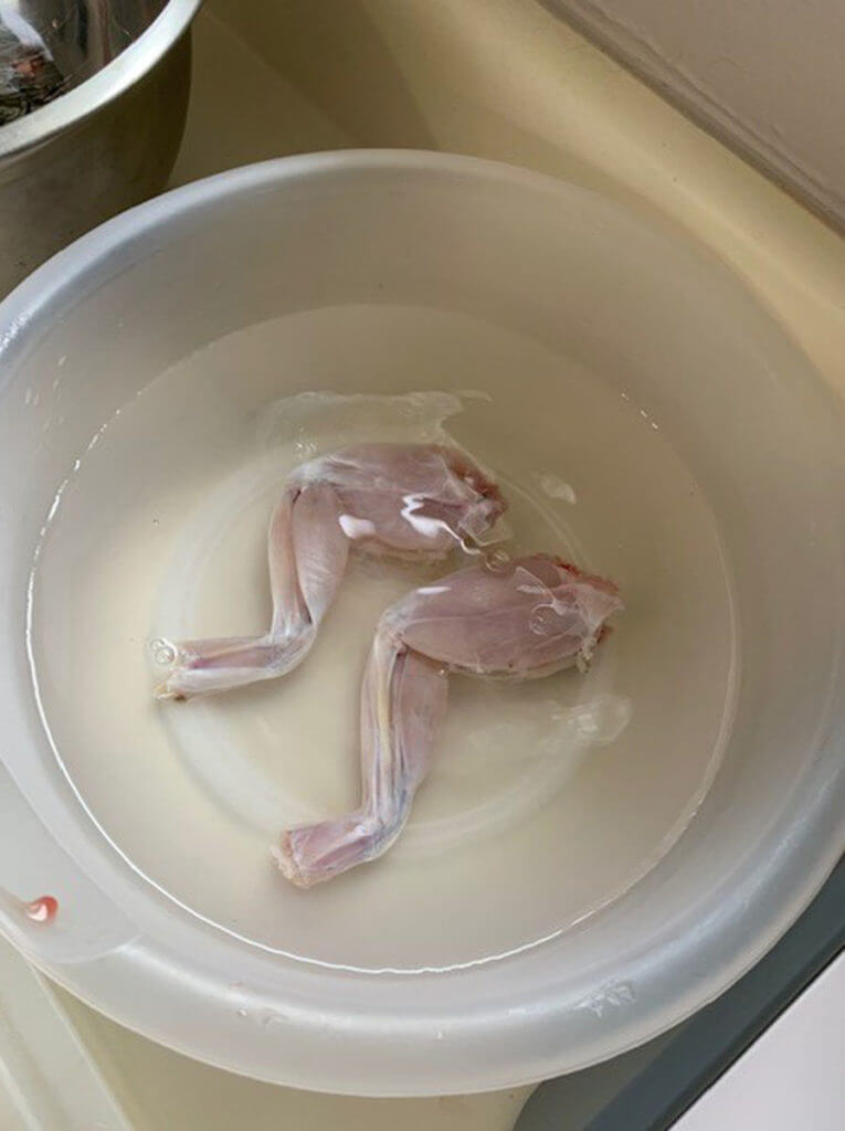 Frog Cleaning Frog Cleaning