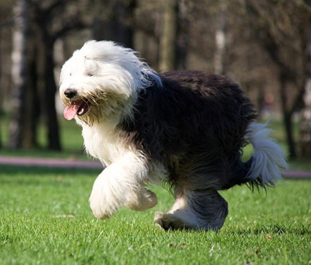 Shooter Rughi: The Right Guy, The Right Place & the Glock 19 Shooter Rughi: The Right Guy, The Right Place & the Glock 19