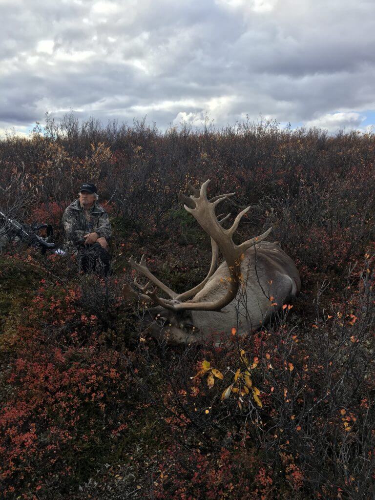 Quick, Fast, and In a Hurry - A Two Day Caribou Hunt Quick, Fast, and In a Hurry - A Two Day Caribou Hunt