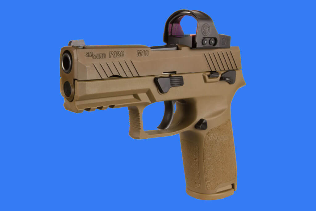 The What & the Why: Cowitnessing Sights The What & the Why: Cowitnessing Sights