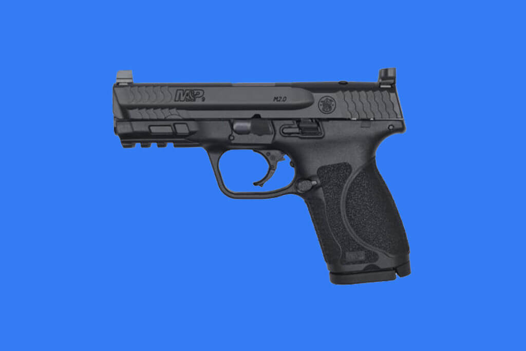 The What & the Why: Cowitnessing Sights The What & the Why: Cowitnessing Sights