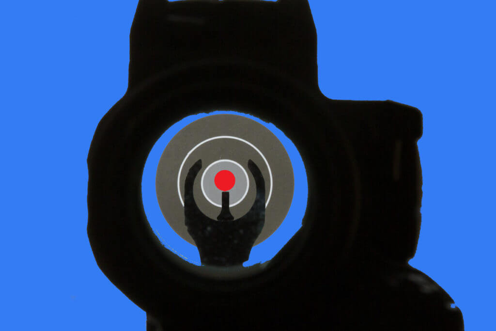 The What & the Why: Cowitnessing Sights The What & the Why: Cowitnessing Sights