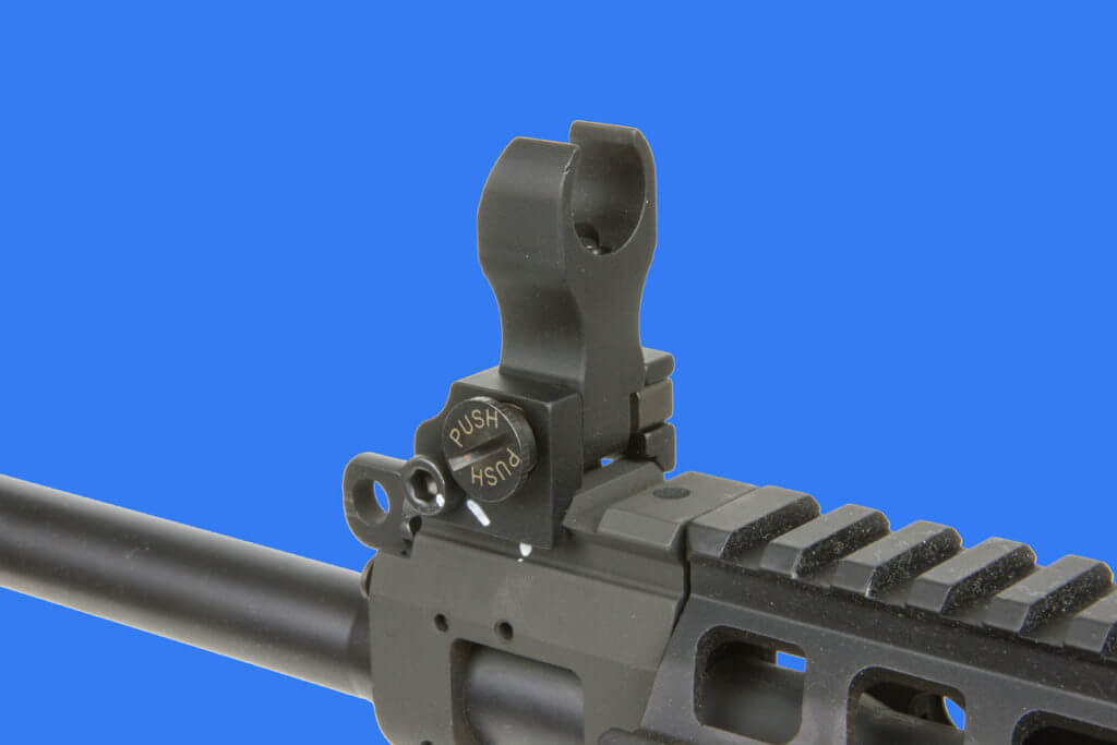 The What & the Why: Cowitnessing Sights The What & the Why: Cowitnessing Sights