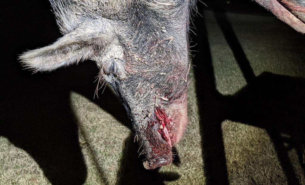 Primary Arms Prism Scopes: ACOG on a Budget? Primary Arms Prism Scopes: ACOG on a Budget?