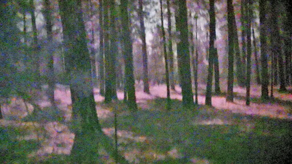 SiOnyx Aurora Pro - Improved Poor man’s PVS-14? SiOnyx Aurora Pro - Improved Poor man’s PVS-14?