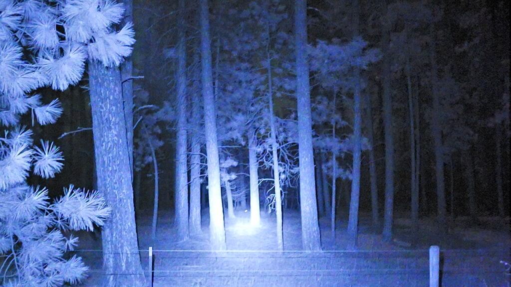 SiOnyx Aurora Pro - Improved Poor man’s PVS-14? SiOnyx Aurora Pro - Improved Poor man’s PVS-14?