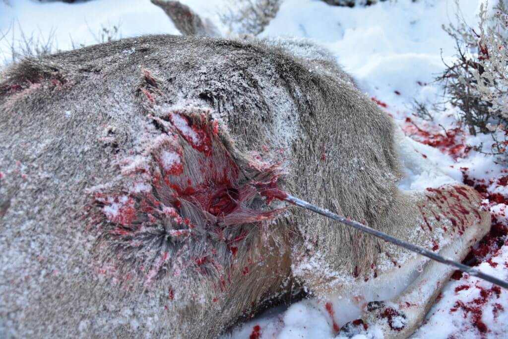 In the Woods: December Archery Deer Hunt in Idaho Part 3 of 3 In the Woods: December Archery Deer Hunt in Idaho Part 3 of 3
