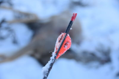 In the Woods: December Archery Deer Hunt in Idaho Part 3 of 3