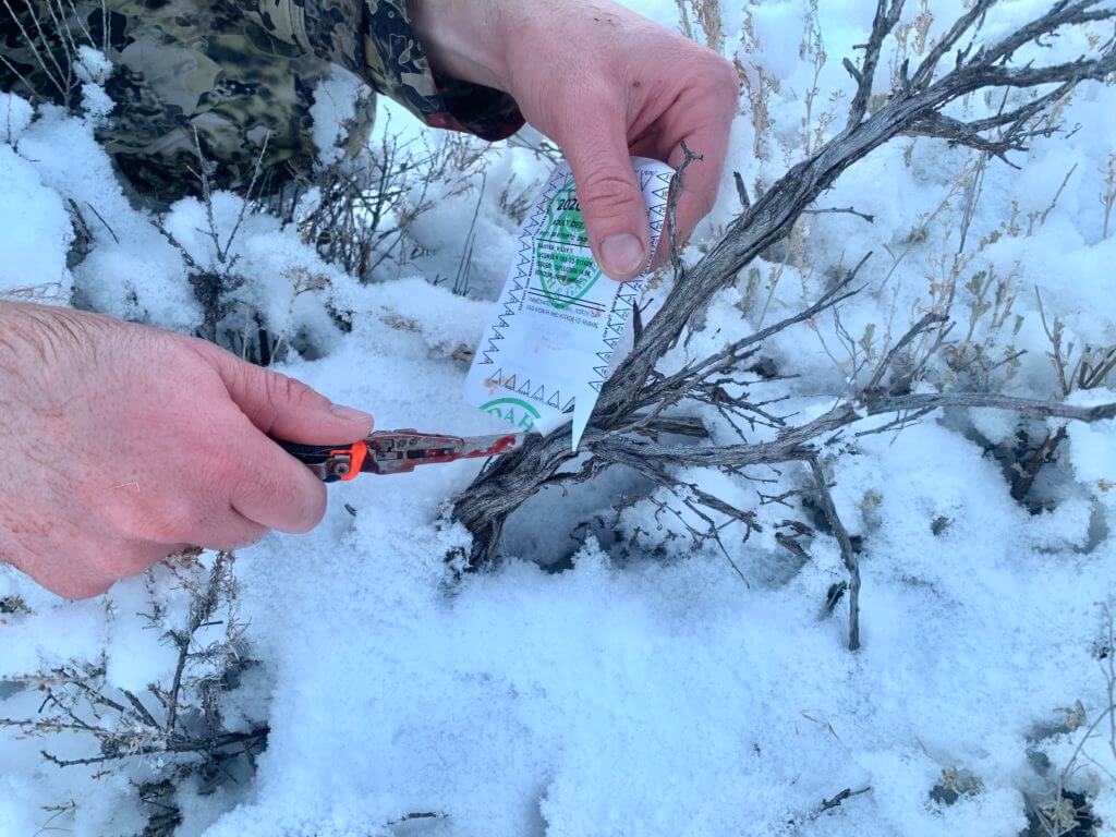 In the Woods: December Archery Deer Hunt in Idaho Part 3 of 3 In the Woods: December Archery Deer Hunt in Idaho Part 3 of 3
