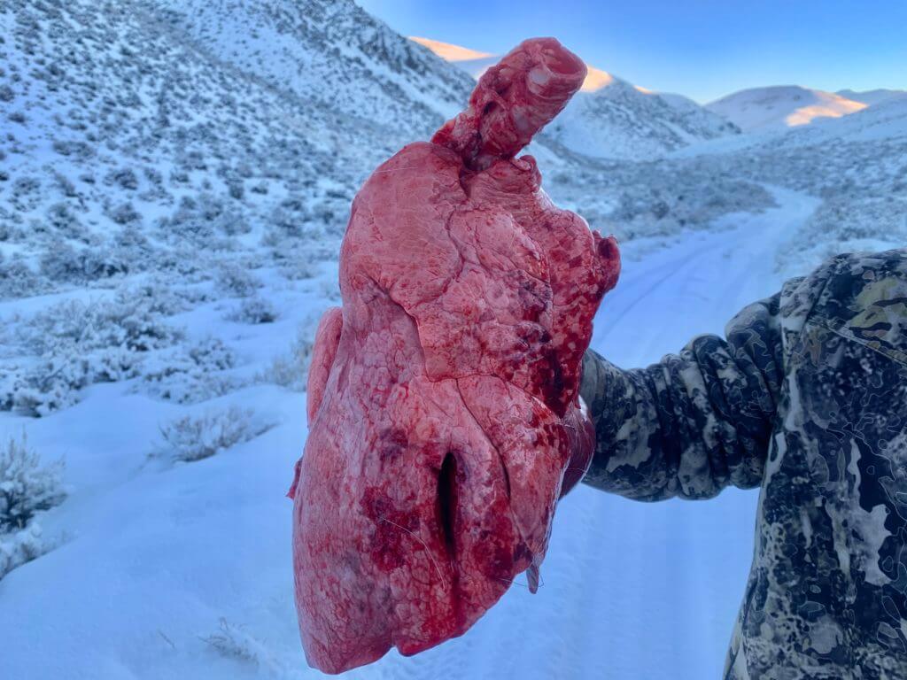 In the Woods: December Archery Deer Hunt in Idaho Part 3 of 3 In the Woods: December Archery Deer Hunt in Idaho Part 3 of 3