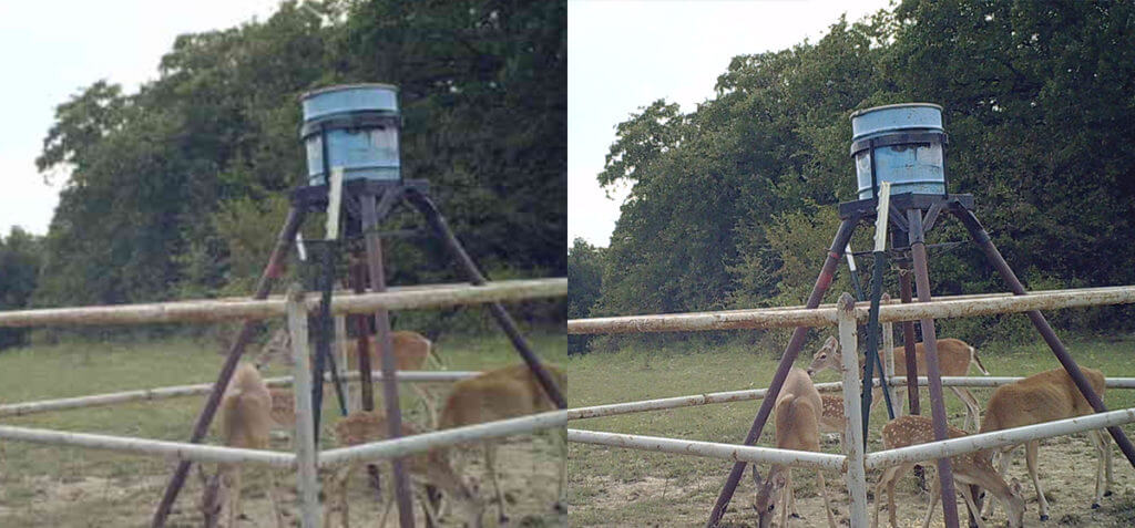 Get a Jump on Next Year’s Buck with the Fusion Wireless Trail Cam