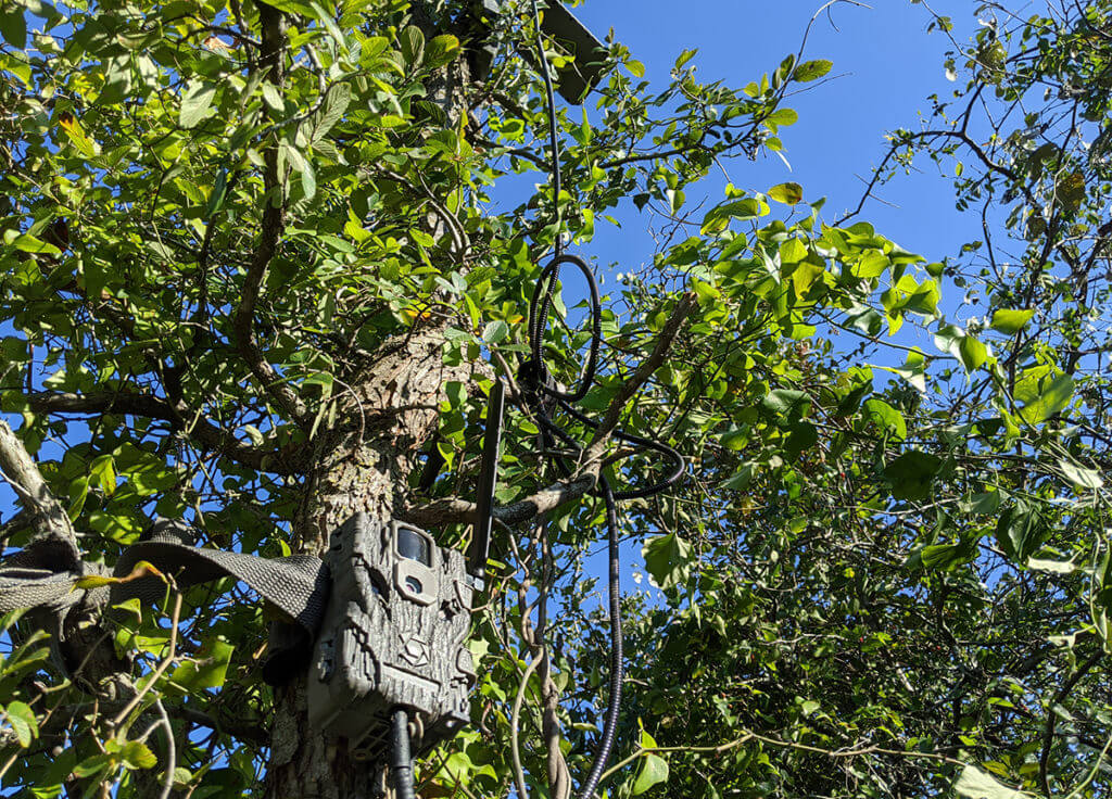 Get a Jump on Next Year’s Buck with the Fusion Wireless Trail Cam