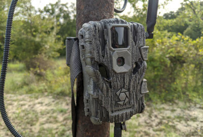 Get a Jump on Next Year’s Buck with the Fusion Wireless Trail Cam