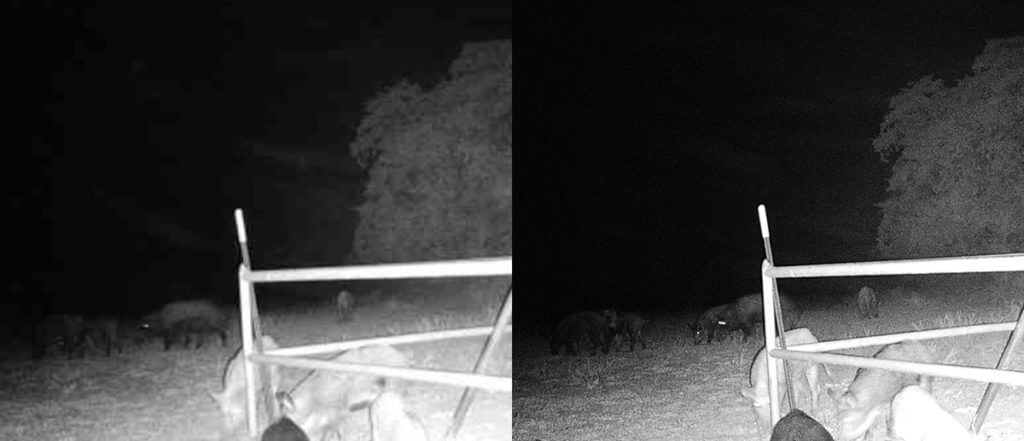 Get a Jump on Next Year’s Buck with the Fusion Wireless Trail Cam