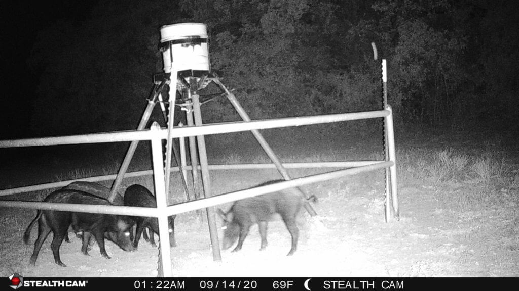 Get a Jump on Next Year’s Buck with the Fusion Wireless Trail Cam