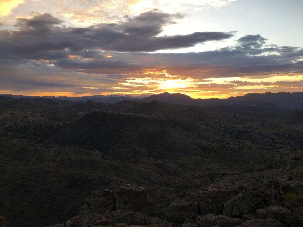 Desert Deer: A Week of Adventure Desert Deer: A Week of Adventure