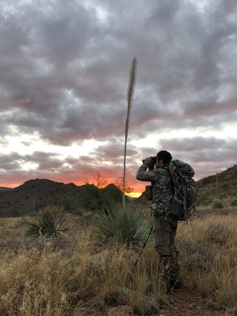 Desert Deer: A Week of Adventure Desert Deer: A Week of Adventure