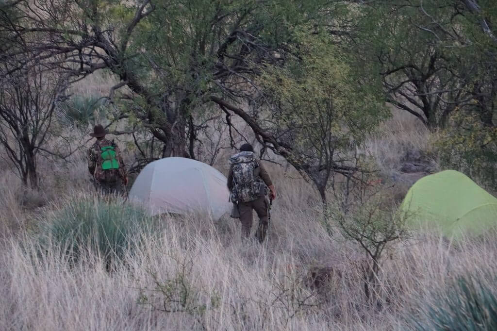 Desert Deer: A Week of Adventure Desert Deer: A Week of Adventure