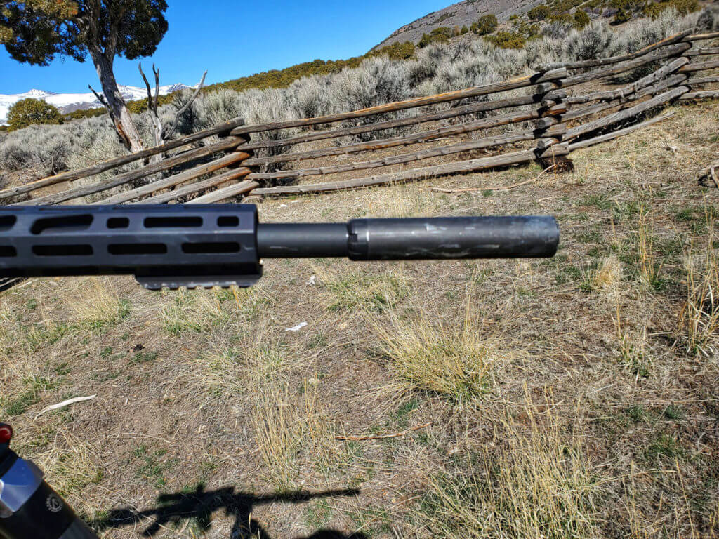 10 Tips for Ground Squirrel Annihilation 10 Tips for Ground Squirrel Annihilation