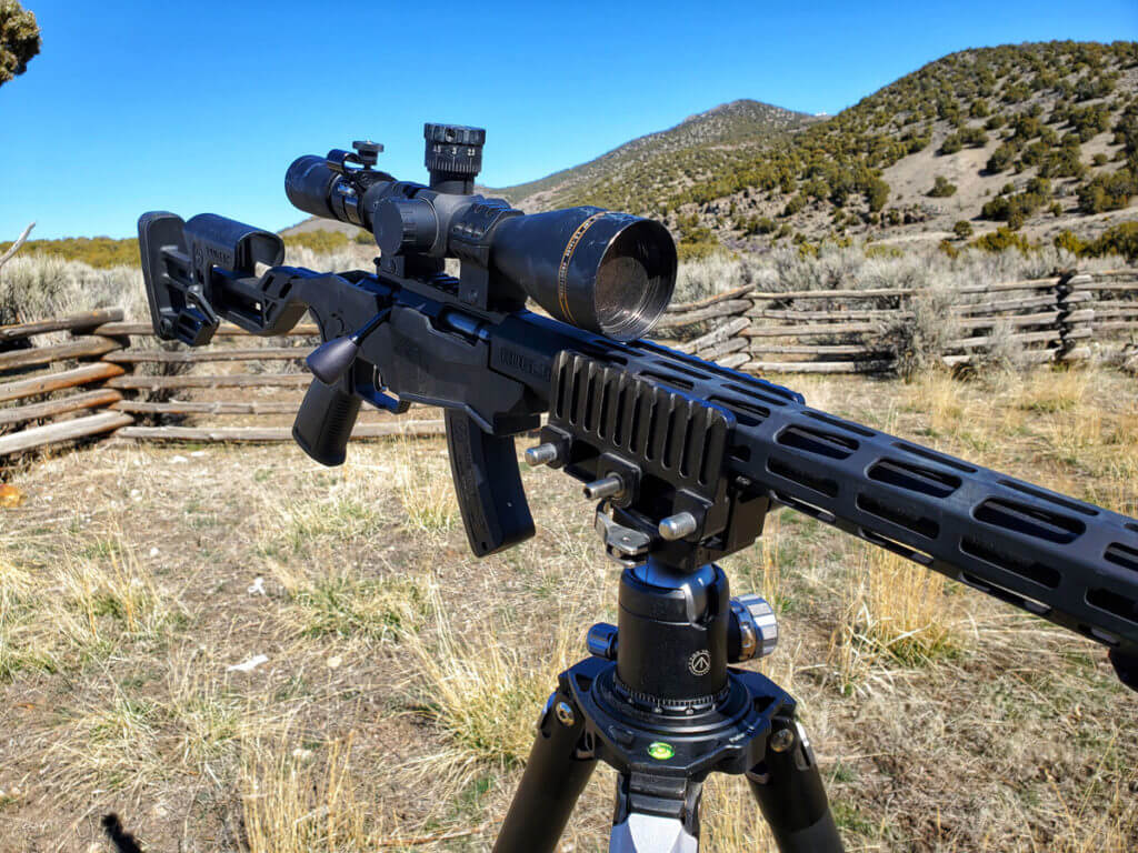 10 Tips for Ground Squirrel Annihilation 10 Tips for Ground Squirrel Annihilation