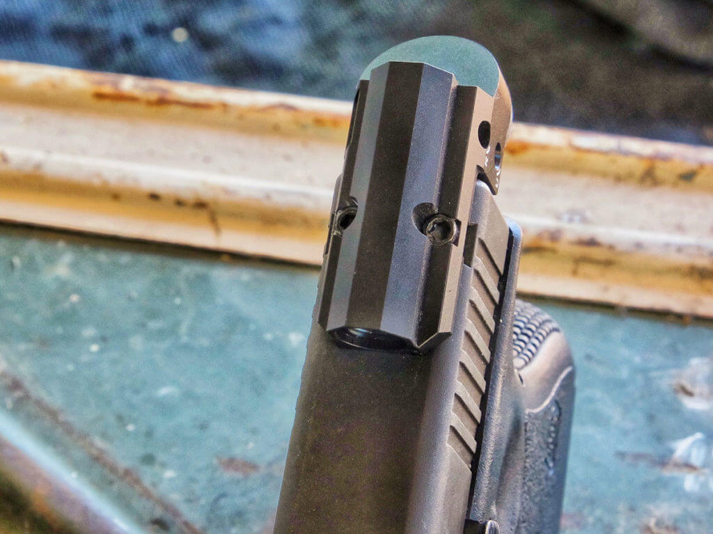 17 Facts about the Leupold DeltaPoint Micro and Field Test Report 17 Facts about the Leupold DeltaPoint Micro and Field Test Report