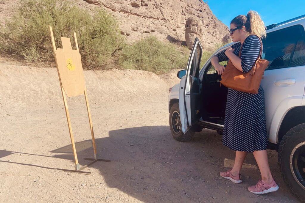 Cameleon Concealed Carry Bags - Blending Function, Firearms, and Fashion Cameleon Concealed Carry Bags - Blending Function, Firearms, and Fashion