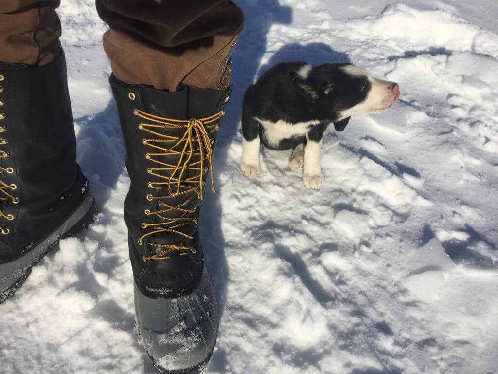 Pre-season Boot Break-in and Everything Else You Ever Might Want to Know About Boots! Pre-season Boot Break-in and Everything Else You Ever Might Want to Know About Boots!