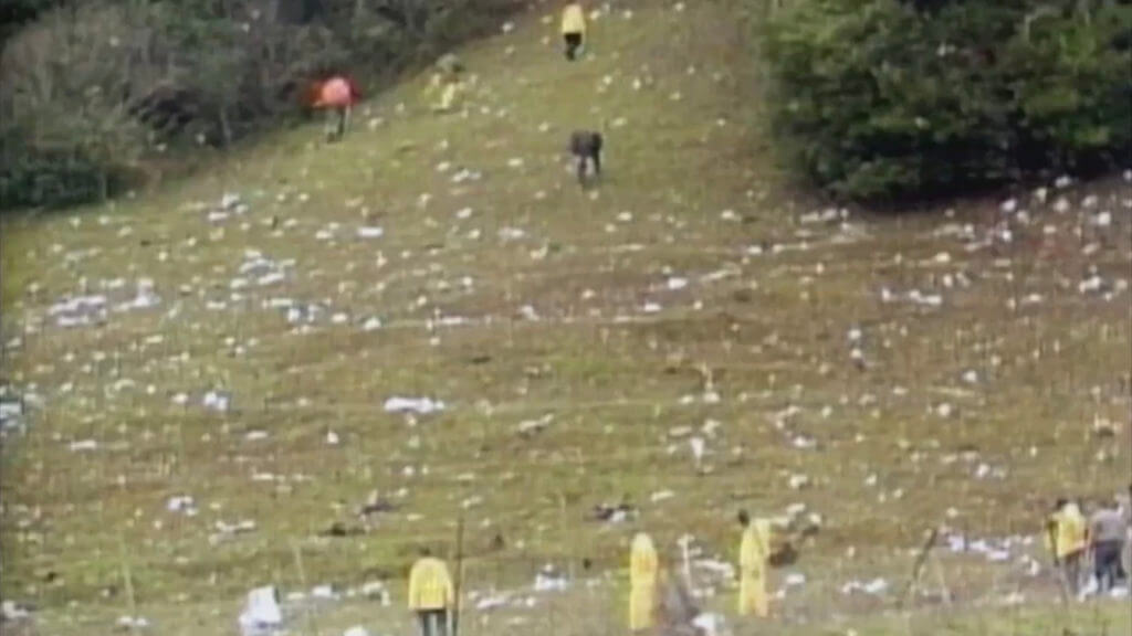 David Burke: I am the Problem David Burke: I am the Problem