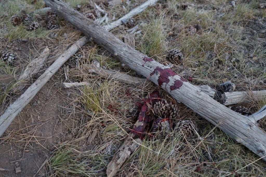 A Bear Charged Me - Epic Story of Self Defense in the Field A Bear Charged Me - Epic Story of Self Defense in the Field