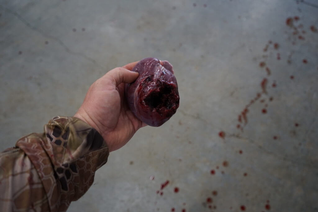 A Bear Charged Me - Epic Story of Self Defense in the Field A Bear Charged Me - Epic Story of Self Defense in the Field