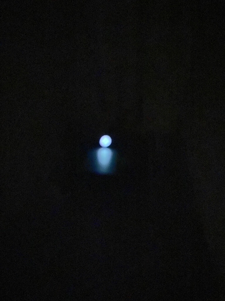 SCCY Test with Glock 43 XS Sights