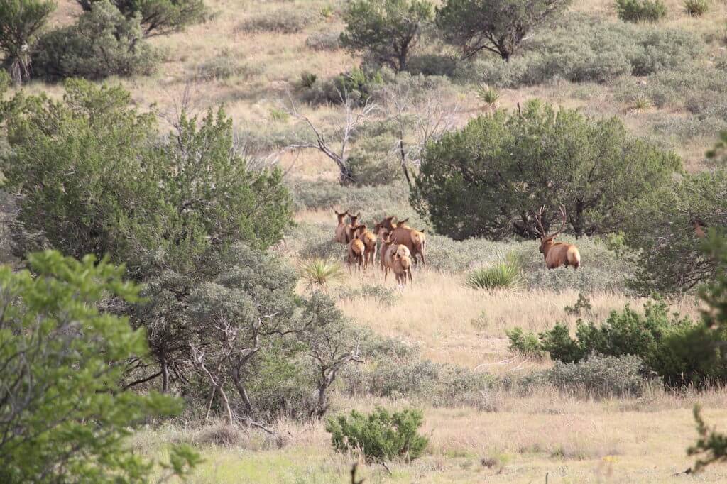 Go Lightweight Out West Go Lightweight Out West