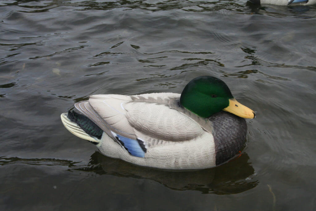 Lifetime Decoys FlexFloat Decoys Lifetime Decoys FlexFloat Decoys