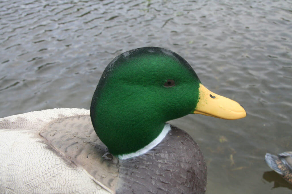 Lifetime Decoys FlexFloat Decoys Lifetime Decoys FlexFloat Decoys