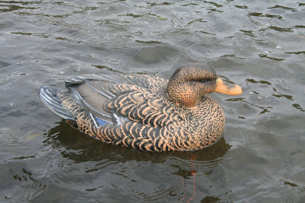 Lifetime Decoys FlexFloat Decoys Lifetime Decoys FlexFloat Decoys