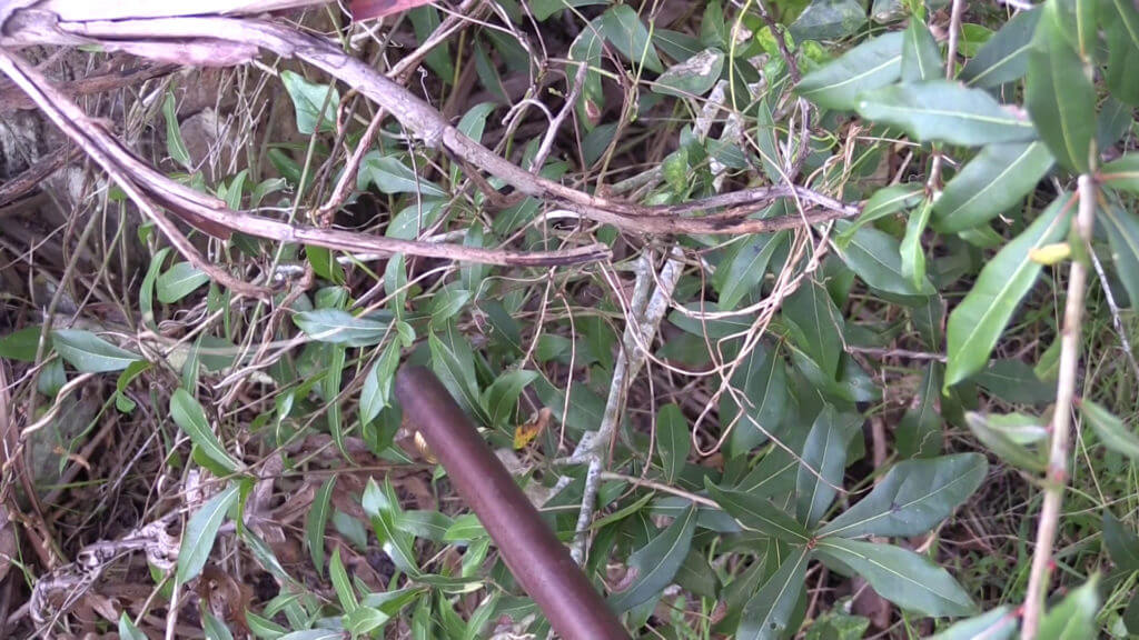 Buying & Shooting UGLY Black Powder Guns Buying & Shooting UGLY Black Powder Guns