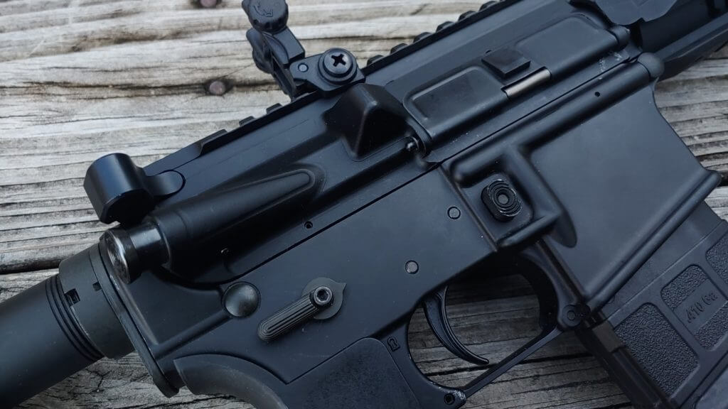 The Charles Daly AR .410 - Small Bore Madness