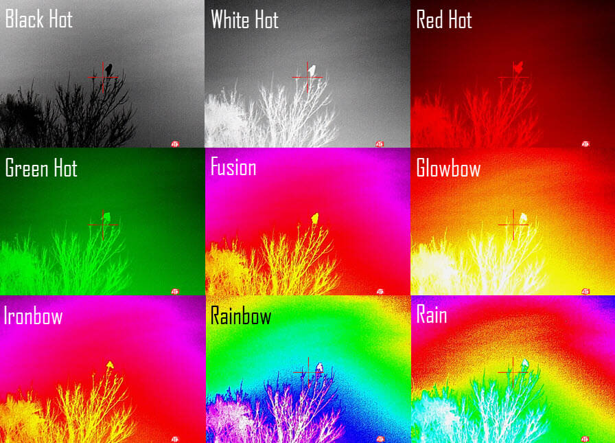 ATN ThOR 4 640- Godlike or Gimmick? Long Term Review ATN ThOR 4 640- Godlike or Gimmick? Long Term Review