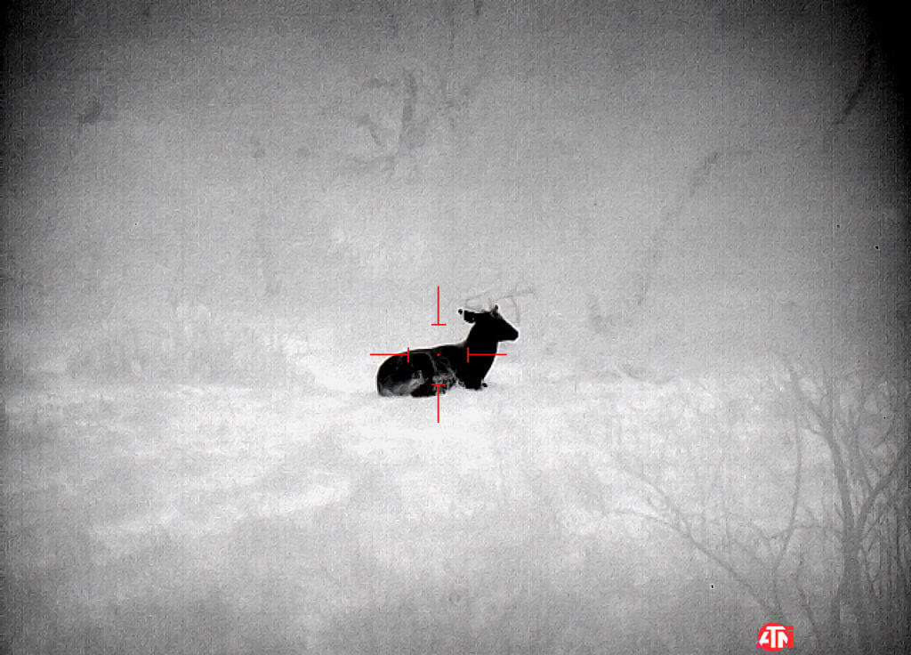 ATN ThOR 4 640- Godlike or Gimmick? Long Term Review ATN ThOR 4 640- Godlike or Gimmick? Long Term Review