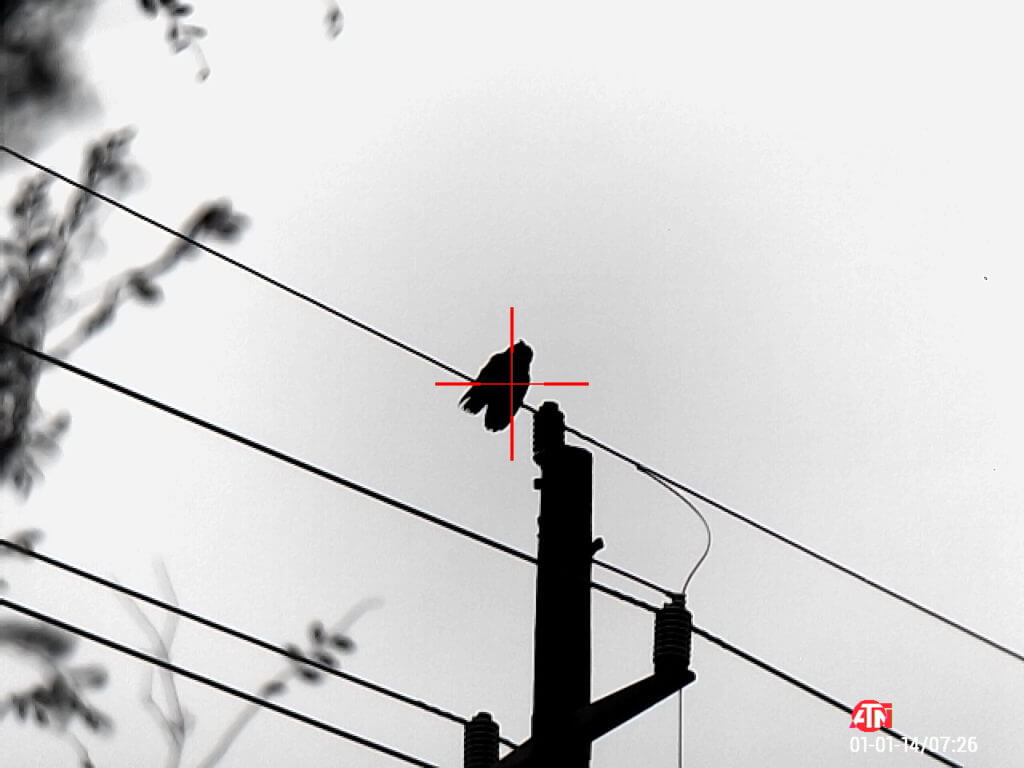 ATN ThOR 4 640- Godlike or Gimmick? Long Term Review ATN ThOR 4 640- Godlike or Gimmick? Long Term Review