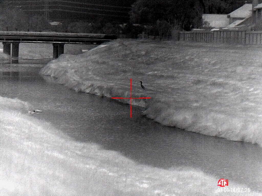 ATN ThOR 4 640- Godlike or Gimmick? Long Term Review ATN ThOR 4 640- Godlike or Gimmick? Long Term Review