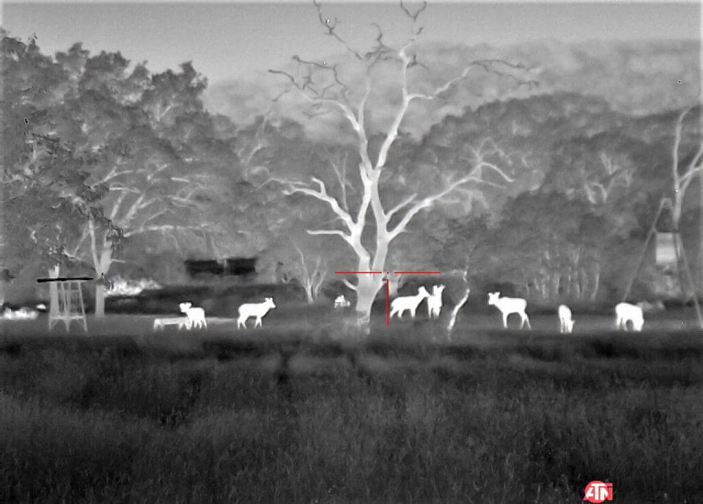 ATN ThOR 4 640- Godlike or Gimmick? Long Term Review ATN ThOR 4 640- Godlike or Gimmick? Long Term Review