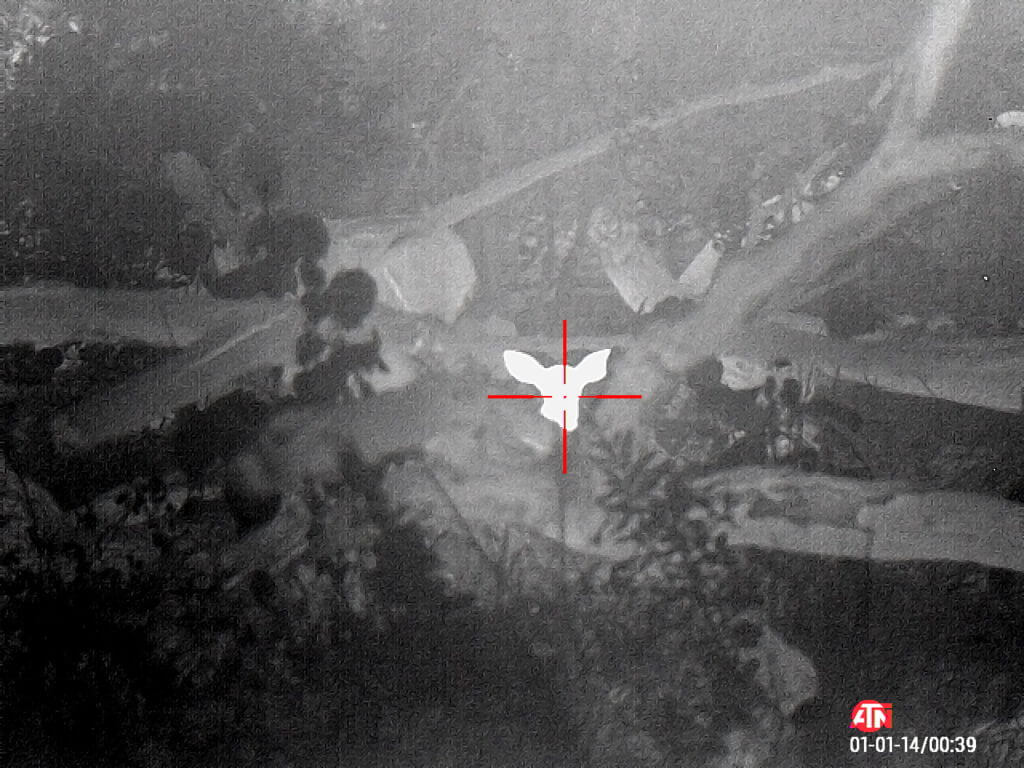 ATN ThOR 4 640- Godlike or Gimmick? Long Term Review ATN ThOR 4 640- Godlike or Gimmick? Long Term Review