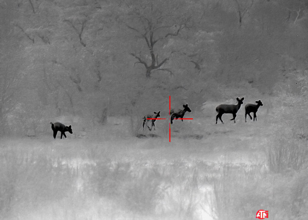 ATN ThOR 4 640- Godlike or Gimmick? Long Term Review ATN ThOR 4 640- Godlike or Gimmick? Long Term Review