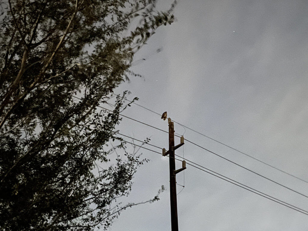 ATN ThOR 4 640- Godlike or Gimmick? Long Term Review ATN ThOR 4 640- Godlike or Gimmick? Long Term Review